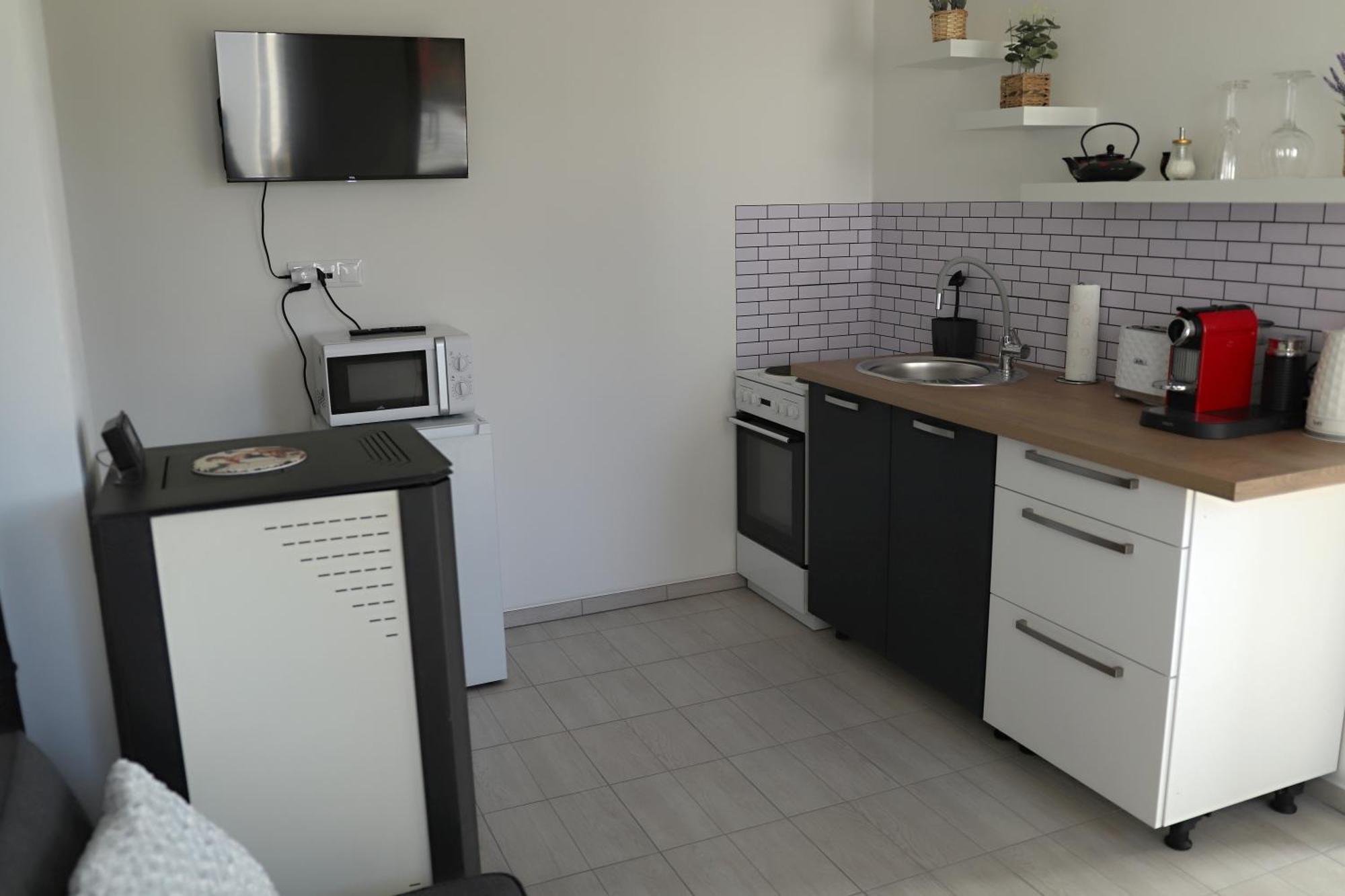 Apartman Na Karlicku 카를로브 외부 사진