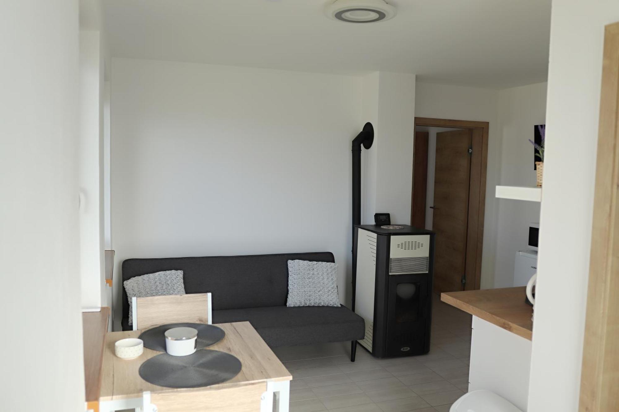 Apartman Na Karlicku 카를로브 외부 사진