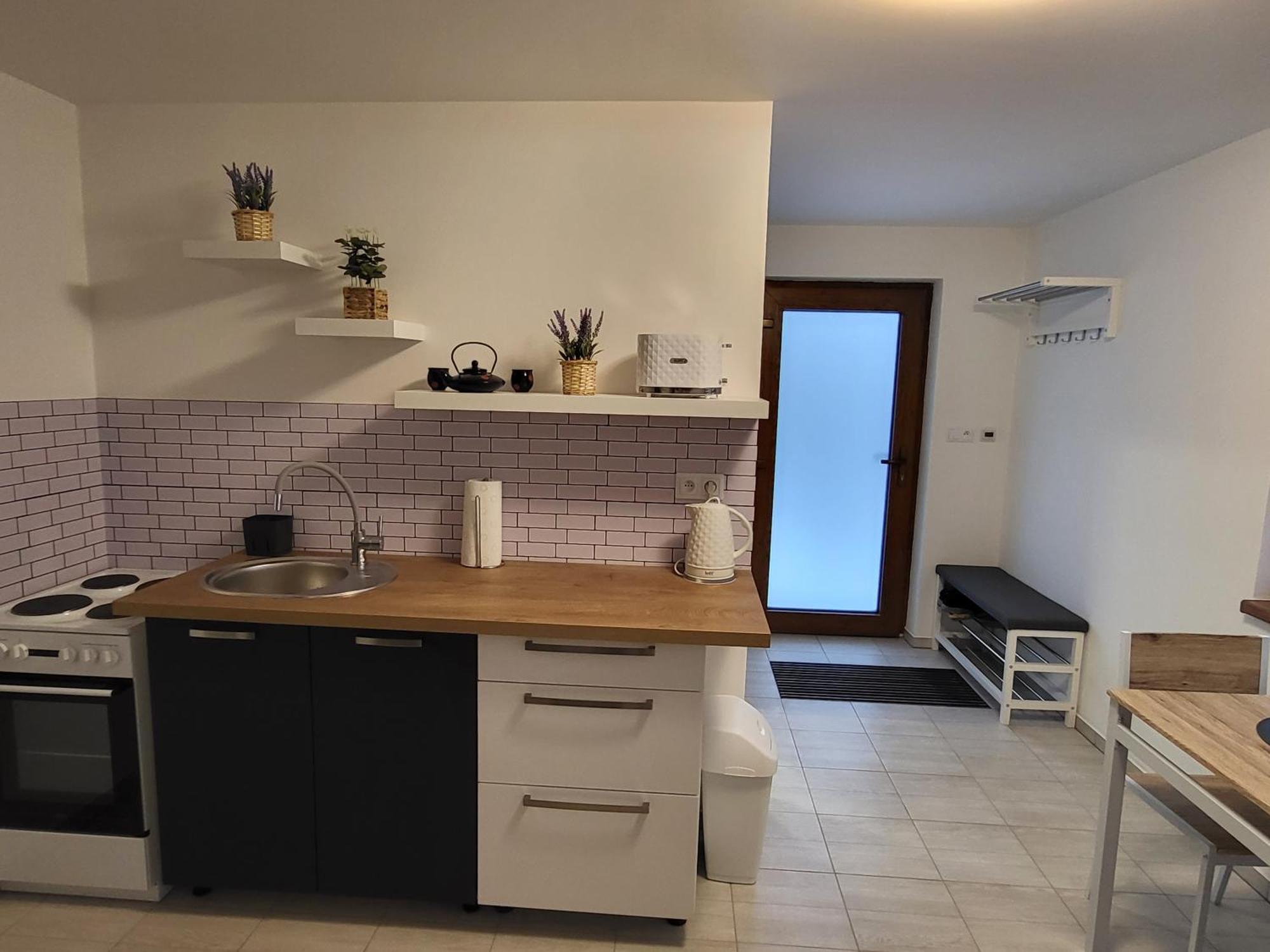 Apartman Na Karlicku 카를로브 외부 사진
