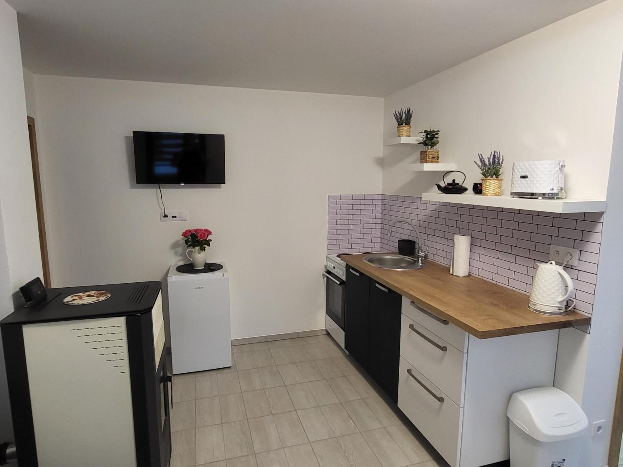 Apartman Na Karlicku 카를로브 외부 사진