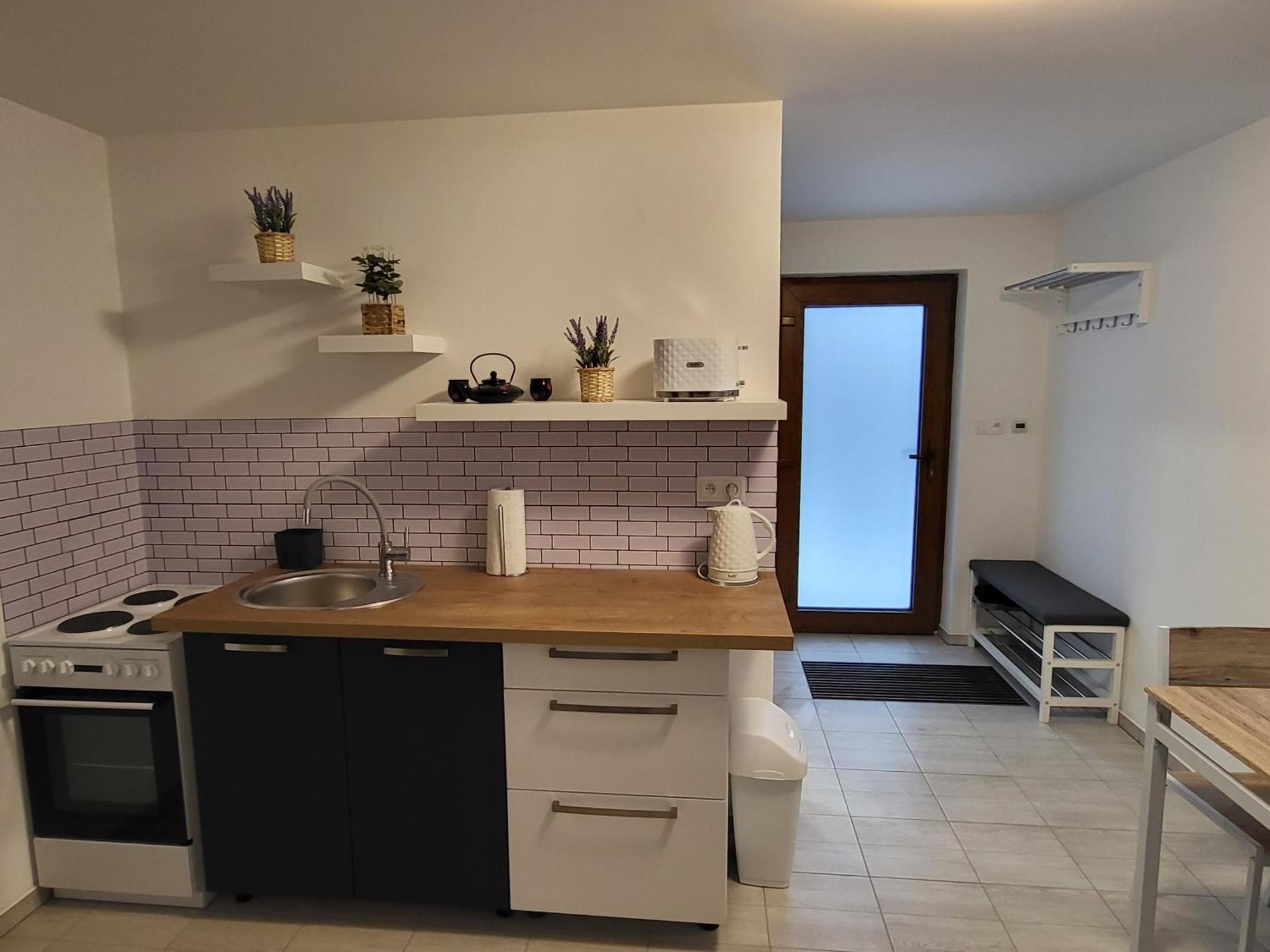 Apartman Na Karlicku 카를로브 외부 사진