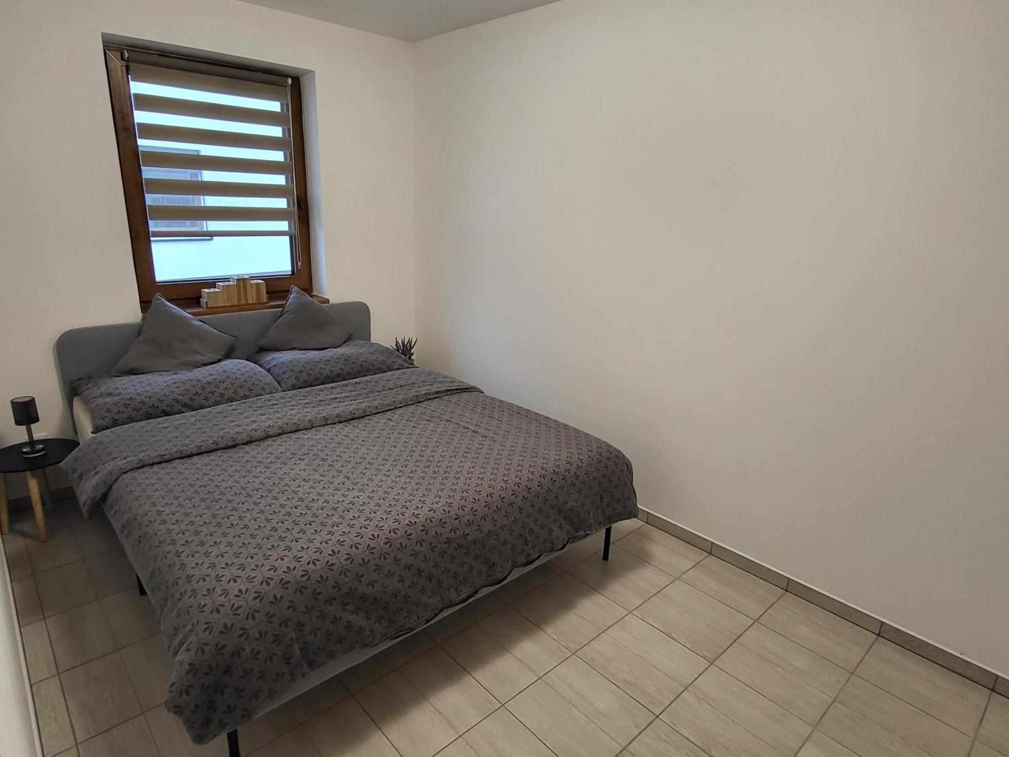 Apartman Na Karlicku 카를로브 외부 사진