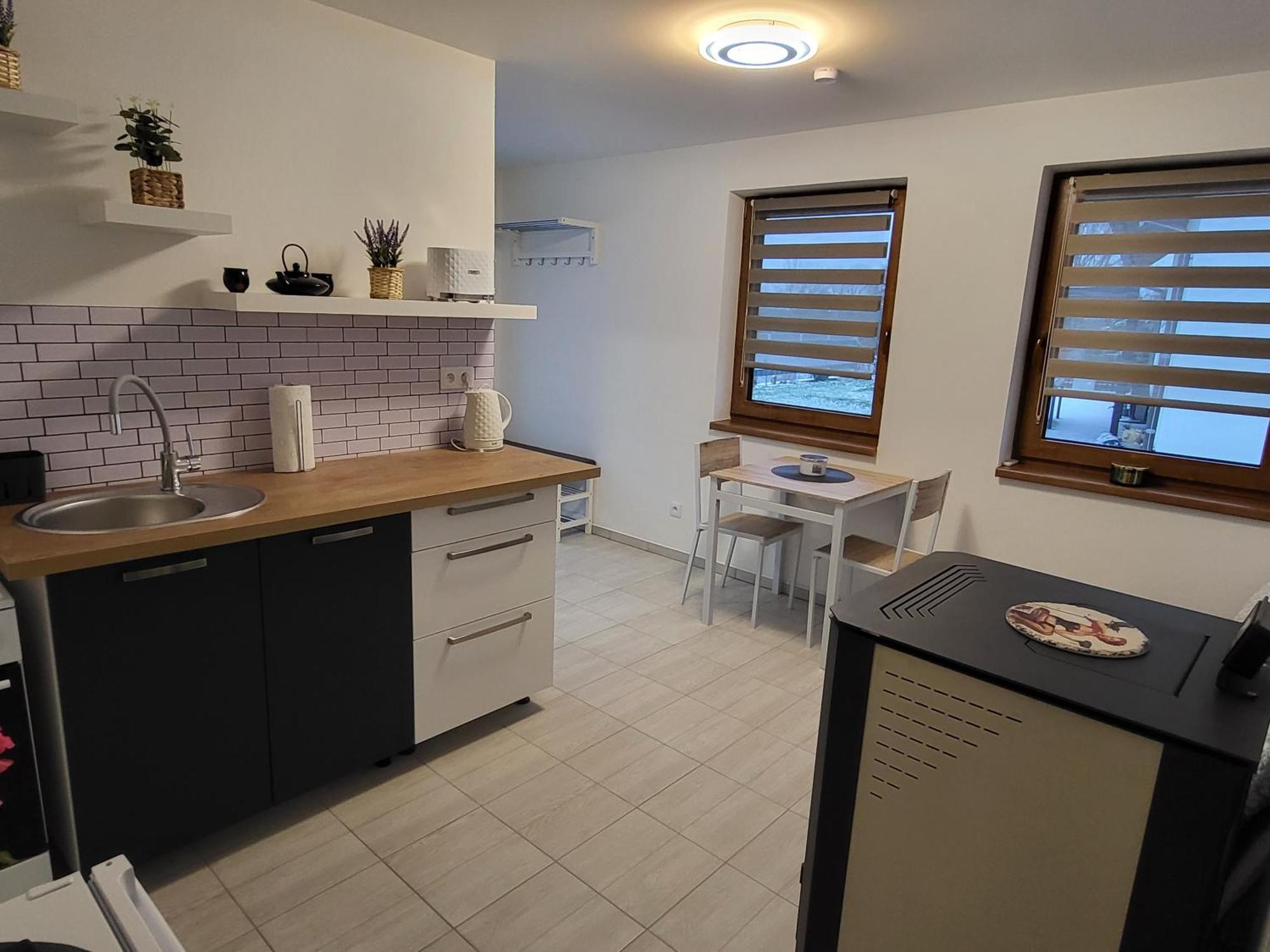 Apartman Na Karlicku 카를로브 외부 사진
