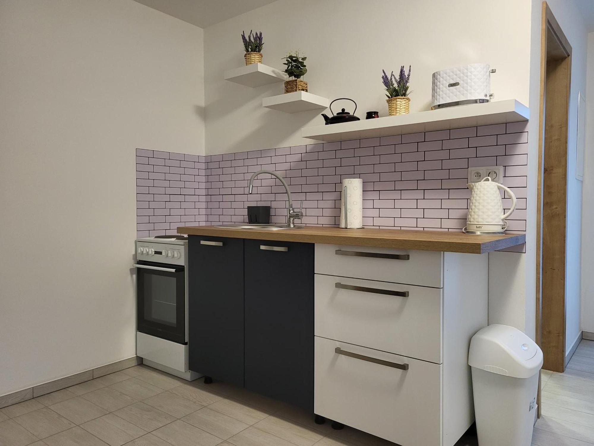Apartman Na Karlicku 카를로브 외부 사진