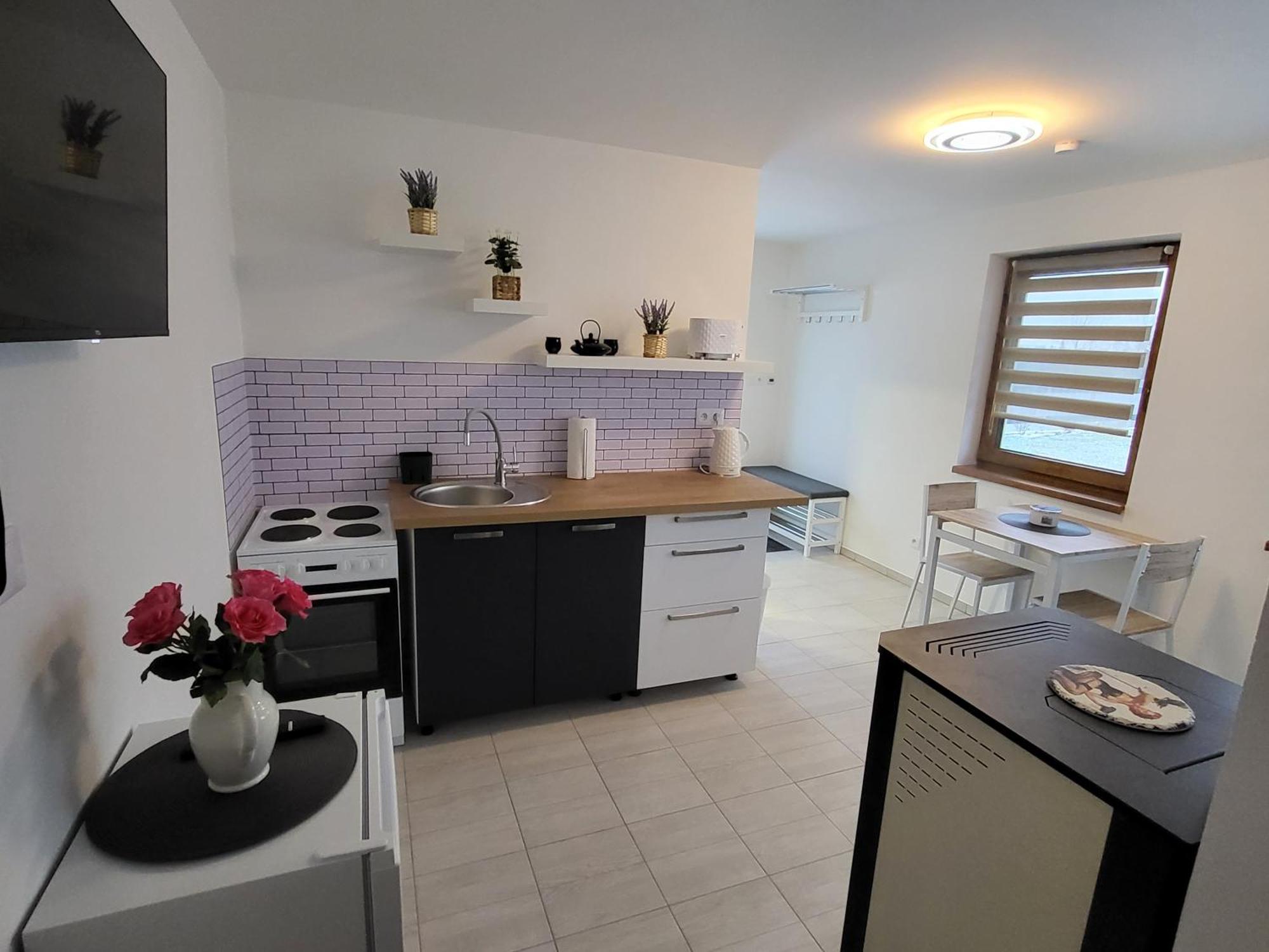 Apartman Na Karlicku 카를로브 외부 사진
